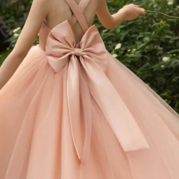 NWT Lavatier Flower Girl/Princess Style Dusty Rose Size 2 Dress - Picture 1 of 2